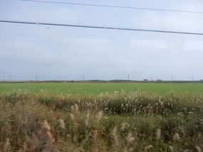 Fields