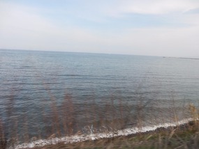 Shoreline