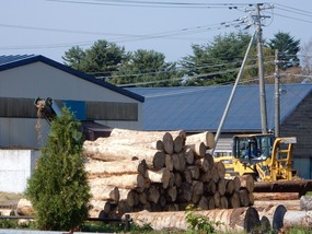 Lumber