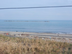 Ocean