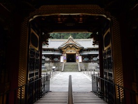 Door View