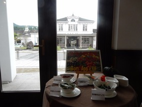 Overlooking Nikko Station