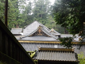 Rooftops