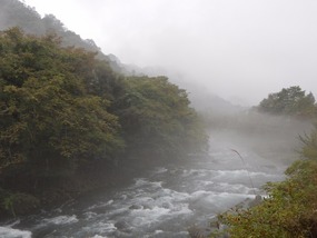 Rapids