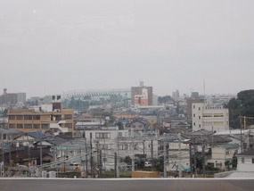 Concrete Jungle