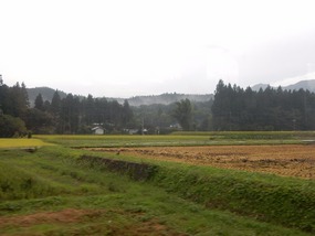 Fields