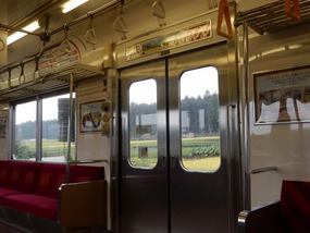 Passing Greenery
