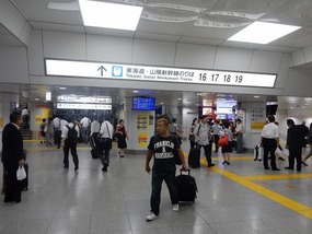 Tokyo Station Transfer