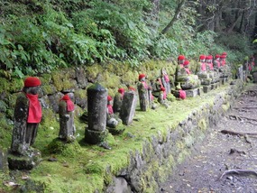 Walking Path