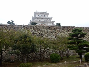 Walls