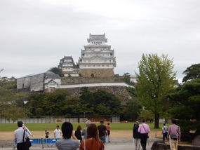 Castle Walls