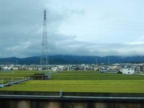 Green Fields