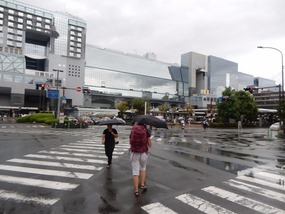 Morning Rain