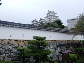 Wall