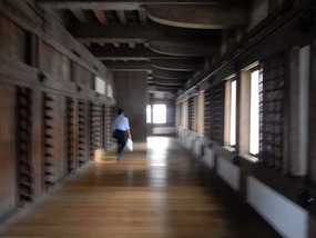 Wood Hallway