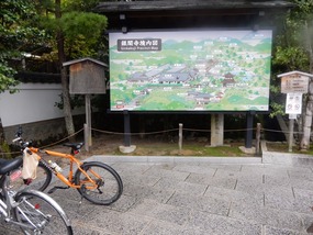 Parked Bike