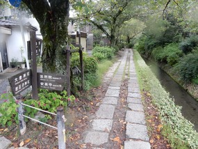 Philosphers Walk