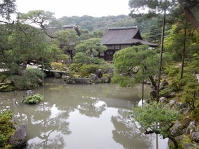 Pond