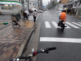Rain is Back