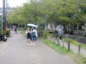 Rainy Walk