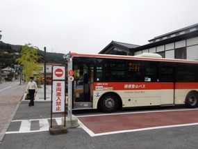Bus Back