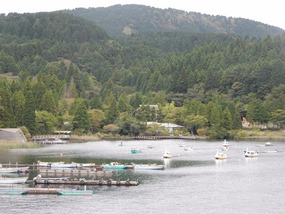 Fishing Boats