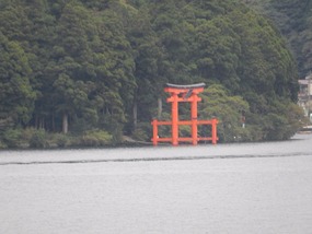 Floating Todori