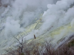 Green Sulphur