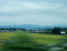 Passing Fields