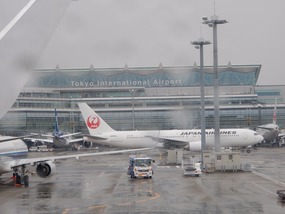 JAL Flight