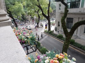 Balcony View