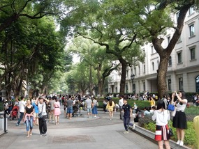 Crowds