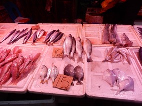 Fish