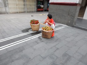 Shoulder Baskets