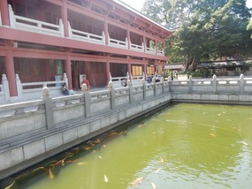 Fish Pond