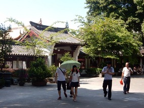 Grounds