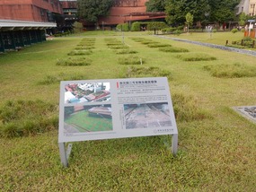 Garden Stones