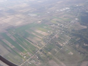 Polish Fields
