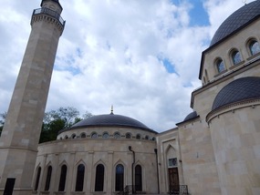 Domes