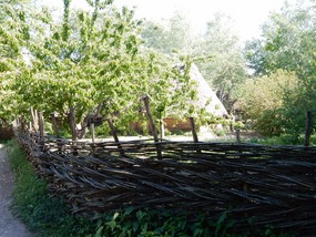 Woven Fence