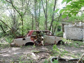 Rotted Car