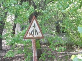 Street Sign