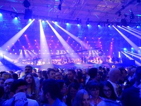 Crowds