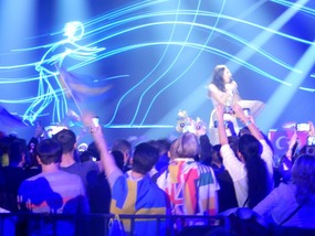 Fan Flags