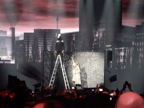 Horse on Ladder