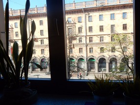 View from Window