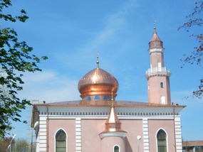 Domes