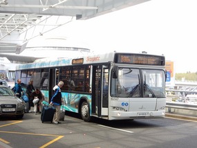 Bus