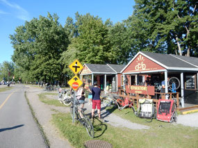 Back to Bike Rental
