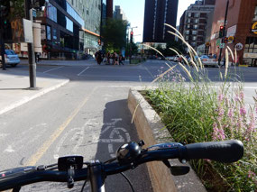 Bike Curb